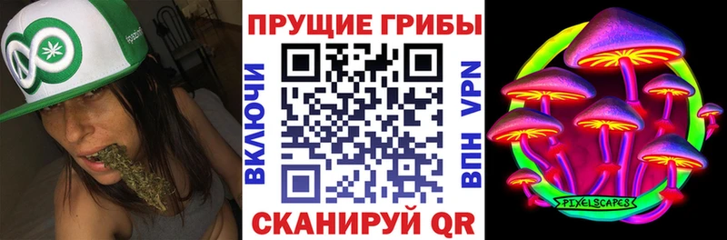 Псилоцибиновые грибы GOLDEN TEACHER Фрязино